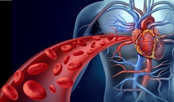 Hypertension Arterielle