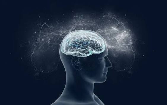 Santé cérébrale et neurologie